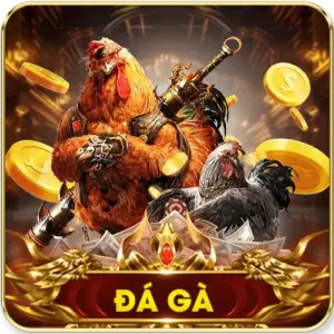 đá gà 79king